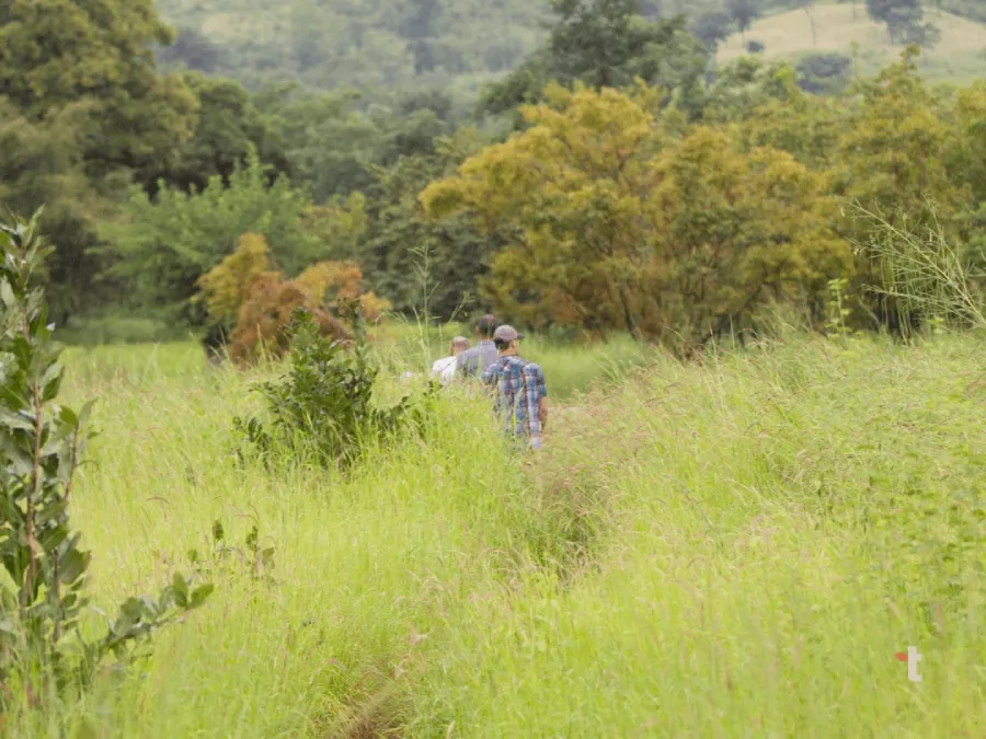 Terra Ingredients' Peter and Malick are guided along a trail in Senegal.