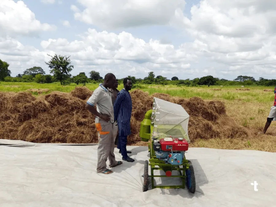 Farmers prepare to begin extracting fonio grain with thresher