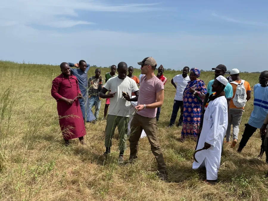 A group of fonio farmers assess their fonio crop in Senegal, Africa.