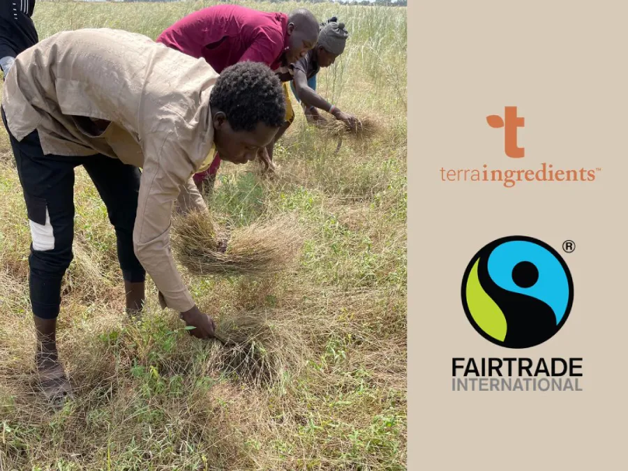 Terra Ingredients is now Fairtrade Certified for fonio grain.