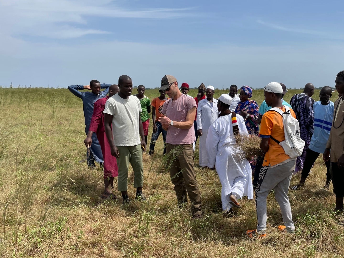 A group of fonio farmers and villages observe a man doing a demonstration in a fonio field