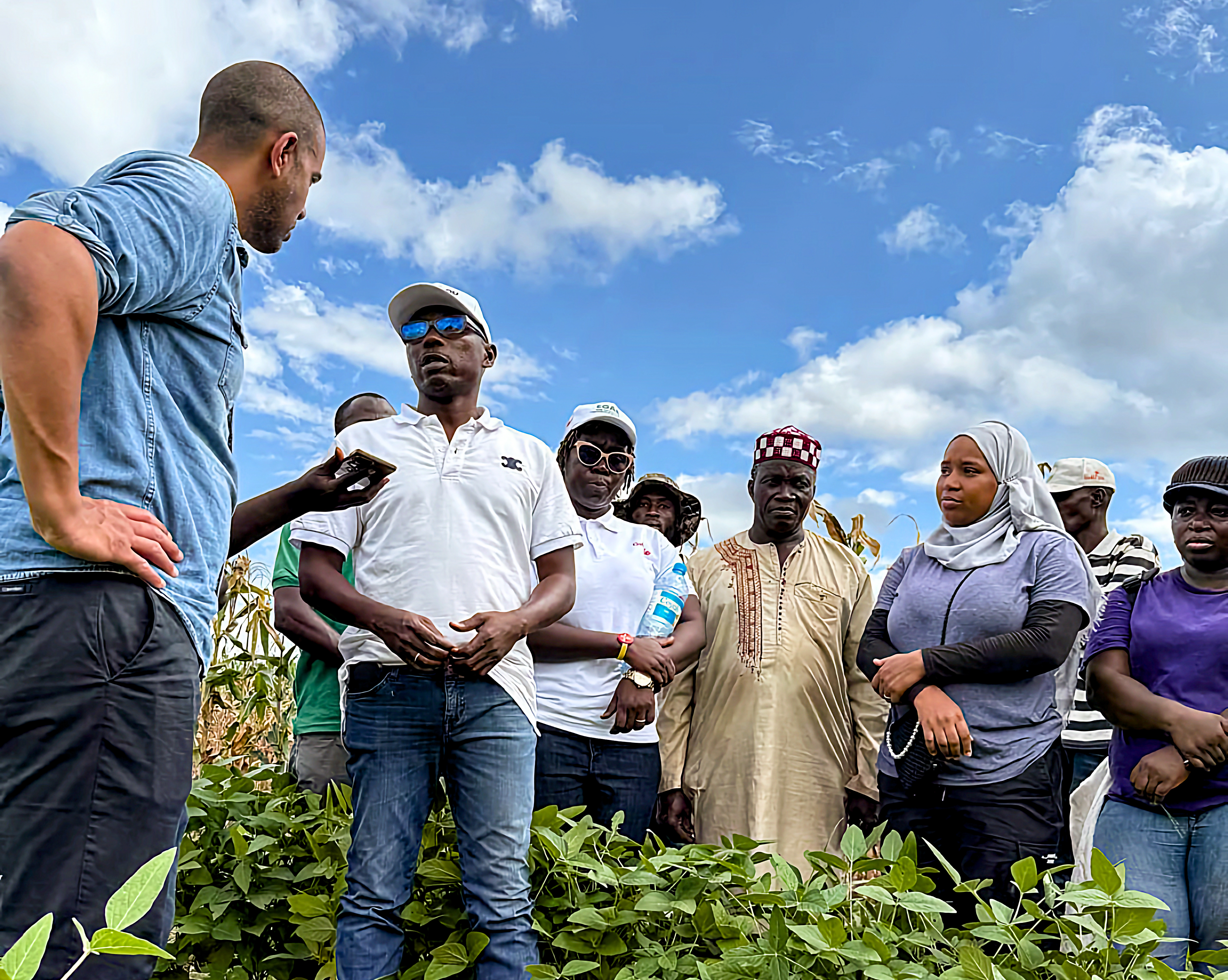 A group of people in discussion in a crop field in Guinea