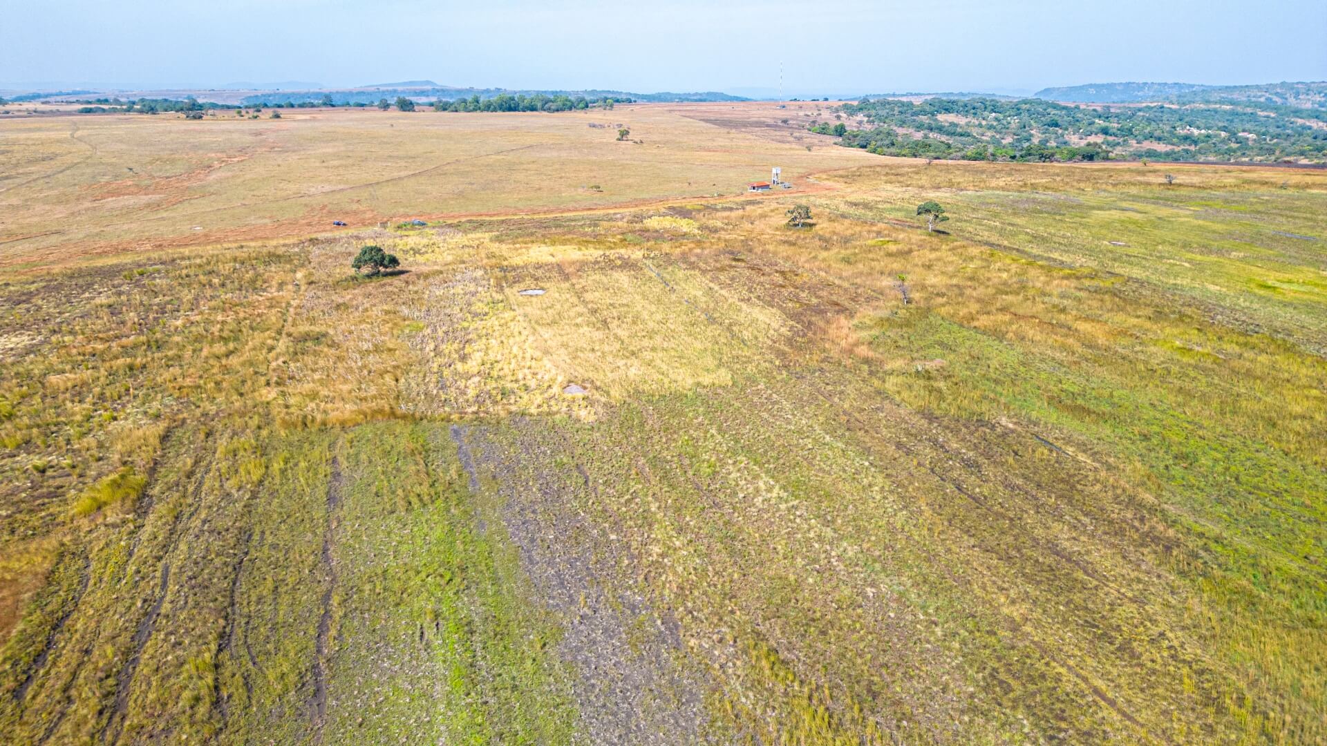 Aerial view of fonio and soy farms in Guinea, West Africa