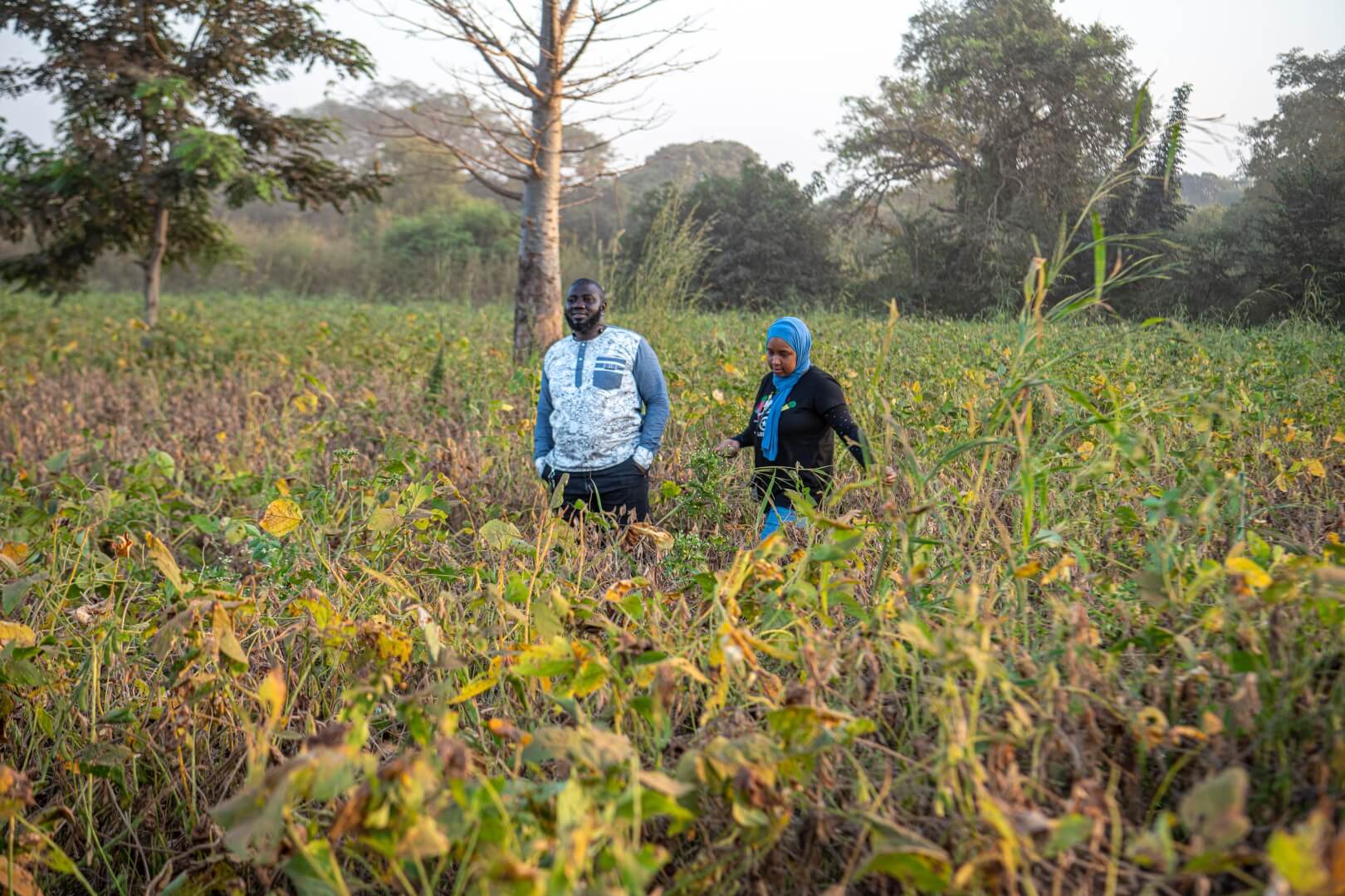 A man and a woman walk through tall plants in a field while having a conversation