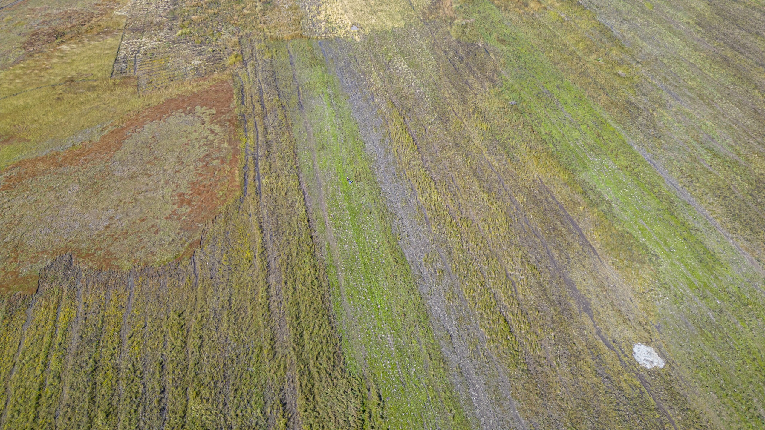 A multi-colored field of grasses and crops is viewed from a drone in Guinea, West Africa