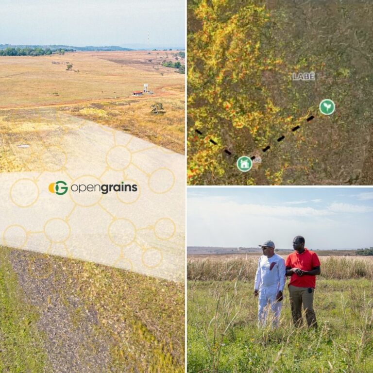 A collage of photos of farms in Guinea, Africa and a screenshot of a digital satellite imaging platform
