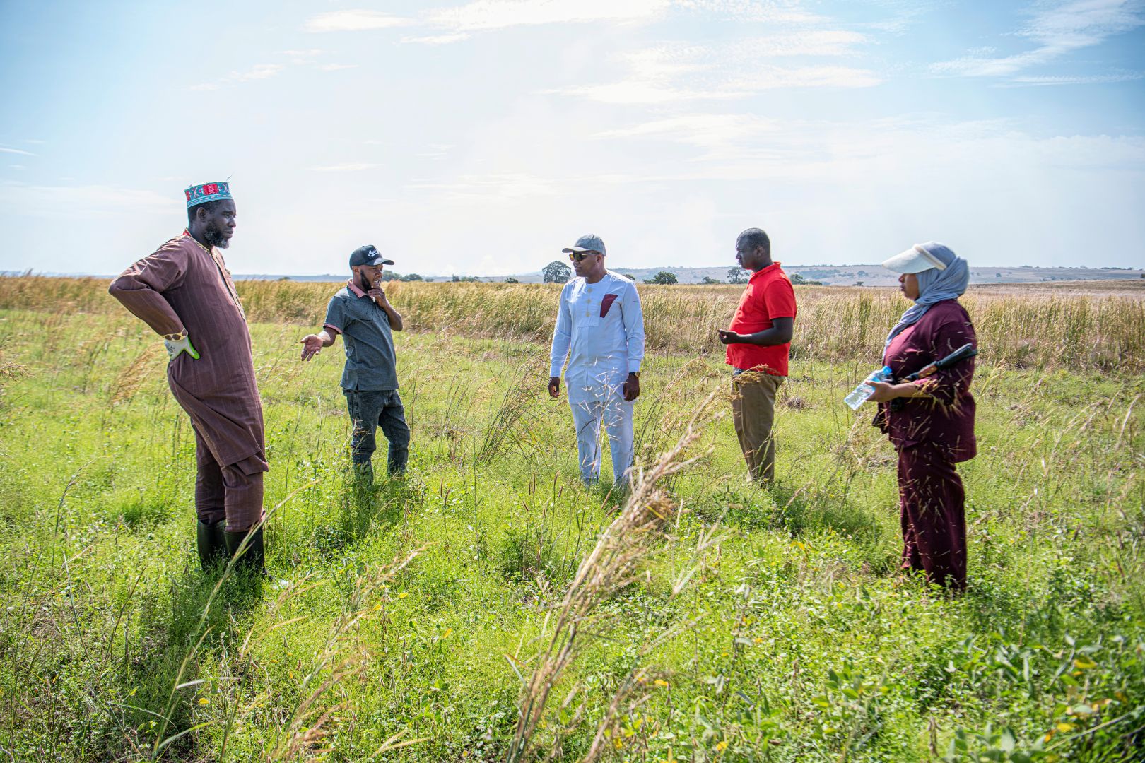 A group of men and a woman having a conversation in the middle of a farm field