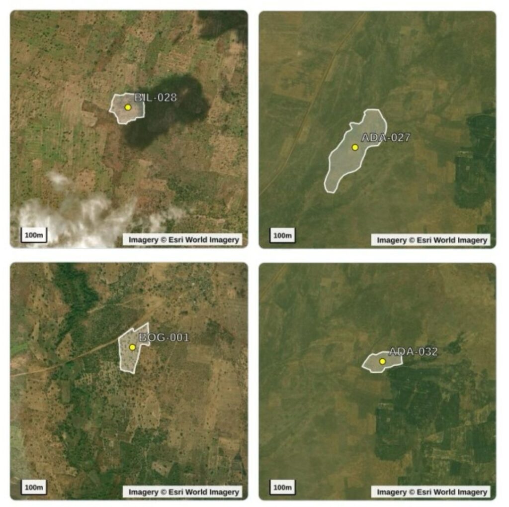 A satellite image of an individual farm polygons in Guinea Africa with farm information listed to the right